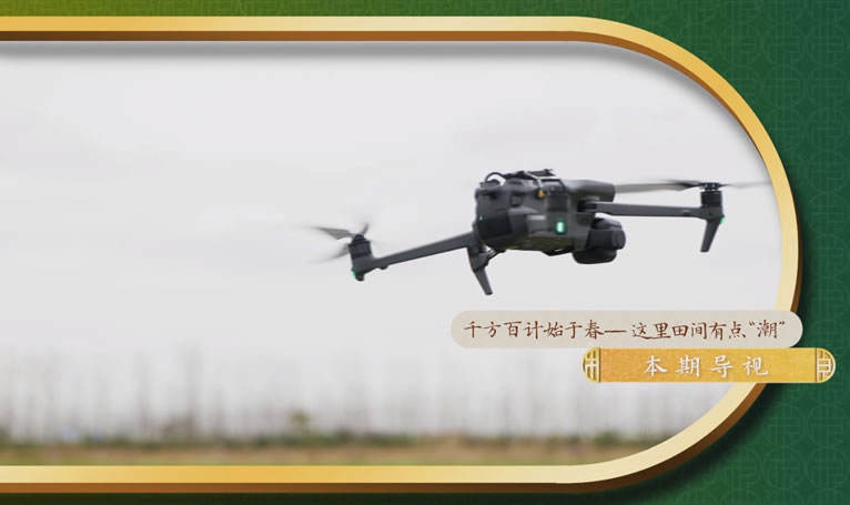 鄉(xiāng)土中國-墾地融合在行動第二季-4：《這里田間有點(diǎn)潮》